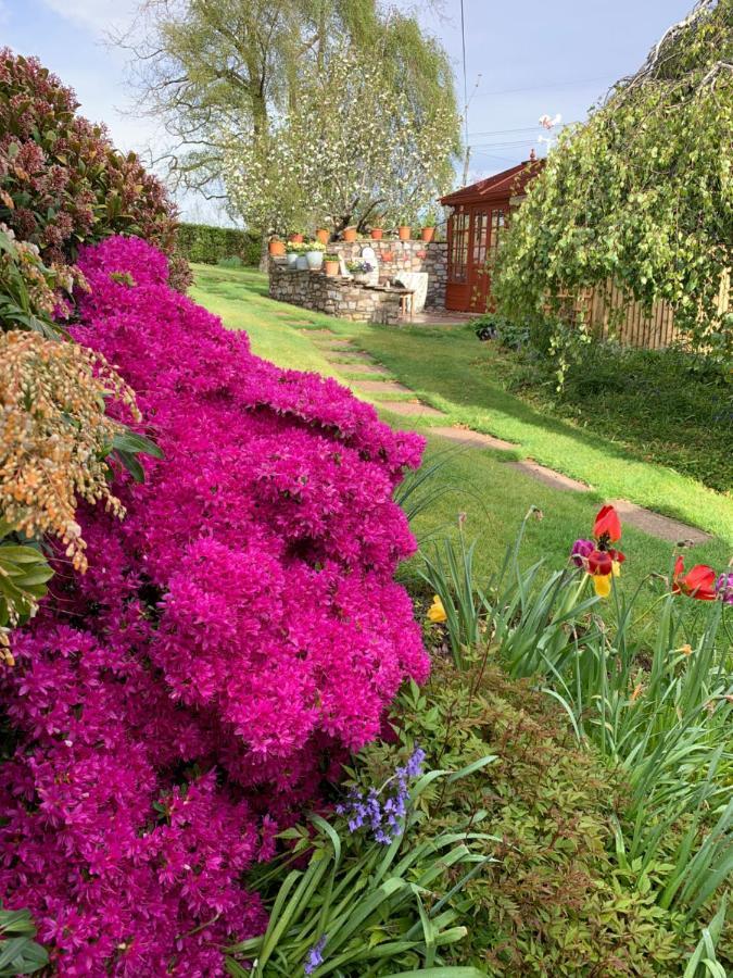 Llanwenarth Cottage A Beautiful Place To Just Be. Абъргавени Екстериор снимка