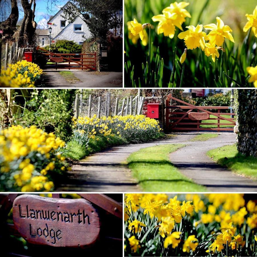 Llanwenarth Cottage A Beautiful Place To Just Be. Абъргавени Екстериор снимка